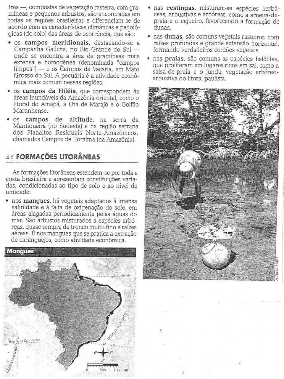 "campos limpos") - e os Campos de Vacaria, em Mato Grosso do Sul. A pecuária é a atividade econômica mais comum nessas regiões.