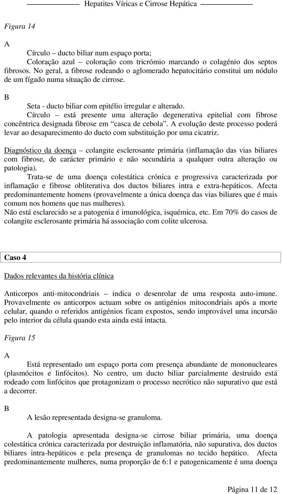 Círculo está presente uma alteração degenerativa epitelial com fibrose concêntrica designada fibrose em casca de cebola.