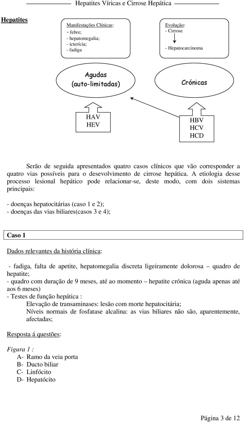 A etiologia desse processo lesional hepático pode relacionar-se, deste modo, com dois sistemas principais: - doenças hepatocitárias (caso 1 e 2); - doenças das vias biliares(casos 3 e 4); Caso 1