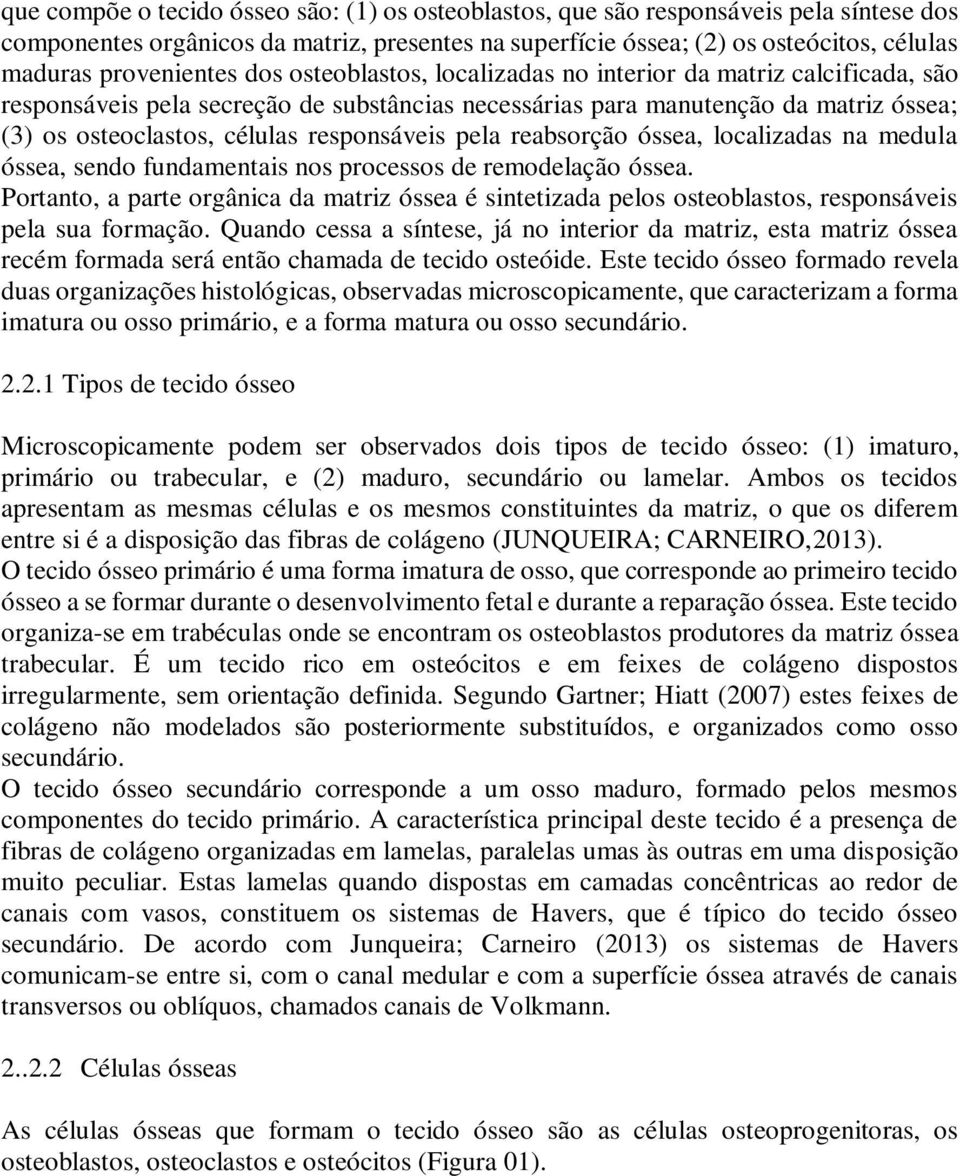 responsáveis pela reabsorção óssea, localizadas na medula óssea, sendo fundamentais nos processos de remodelação óssea.