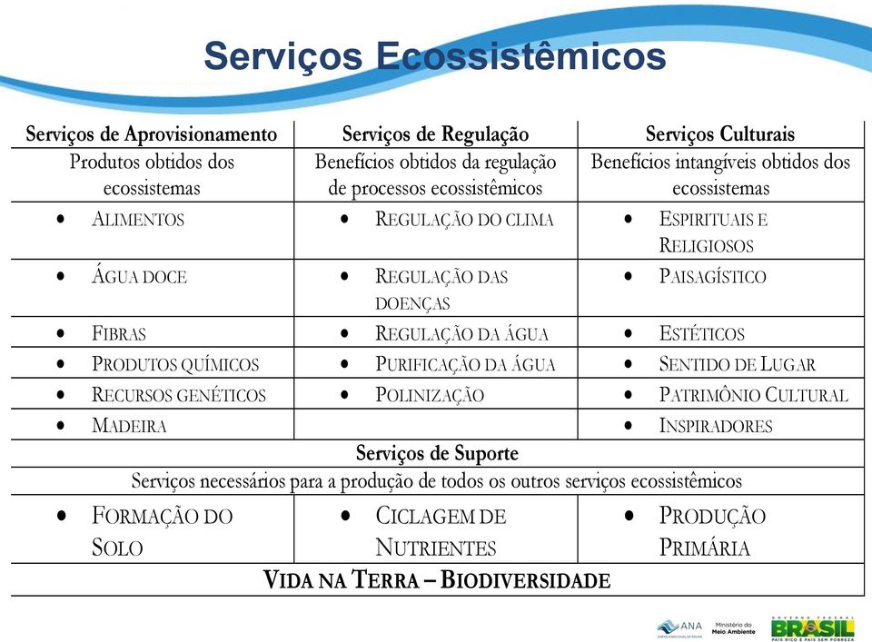 DOENÇAS FIBRAS REGULAÇÃO DA ÁGUA ESTÉTICOS PRODUTOS QUÍMICOS PURIFICAÇÃO DA ÁGUA SENTIDO DE LUGAR RECURSOS GENÉTICOS POLINIZAÇÃO PATRIMÔNIO CULTURAL MADEIRA INSPIRADORES