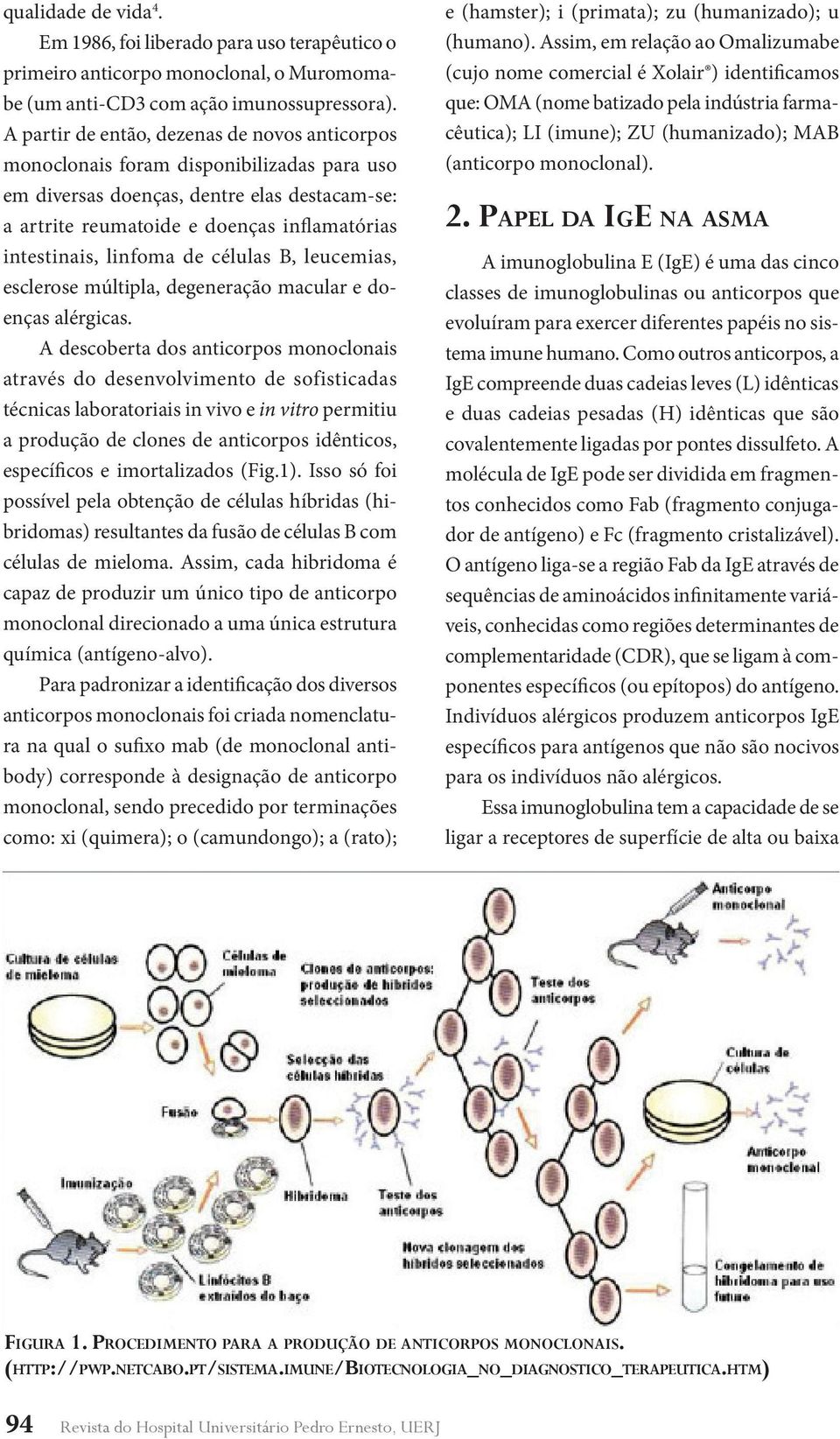 linfoma de células B, leucemias, esclerose múltipla, degeneração macular e doenças alérgicas.