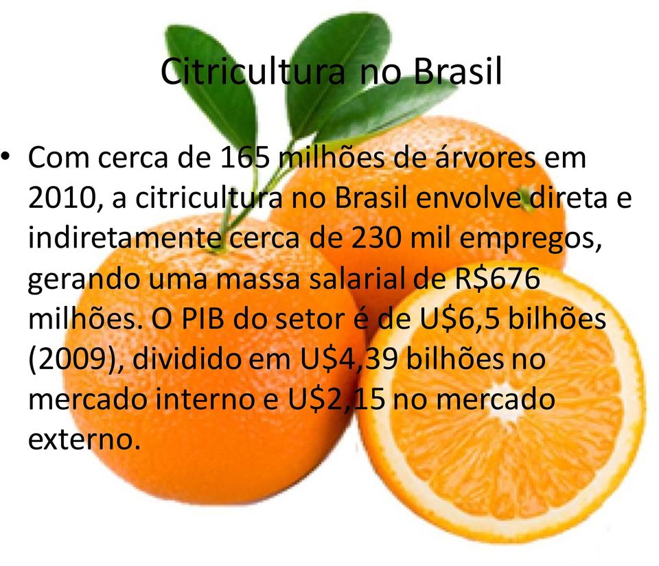 empregos, gerando uma massa salarial de R$676 milhões.