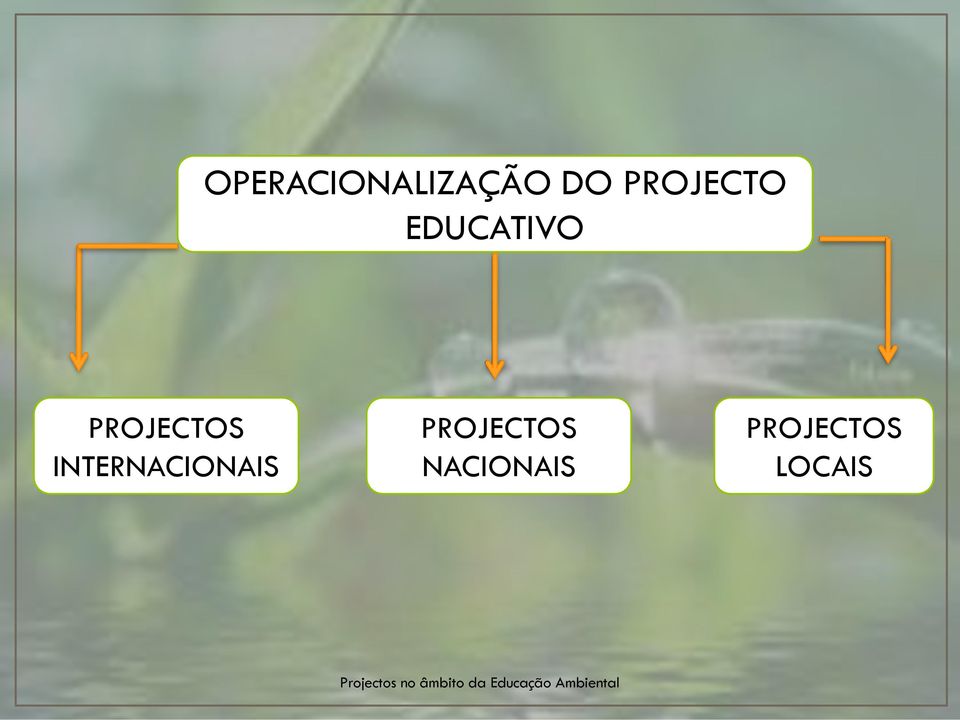 PROJECTOS INTERNACIONAIS