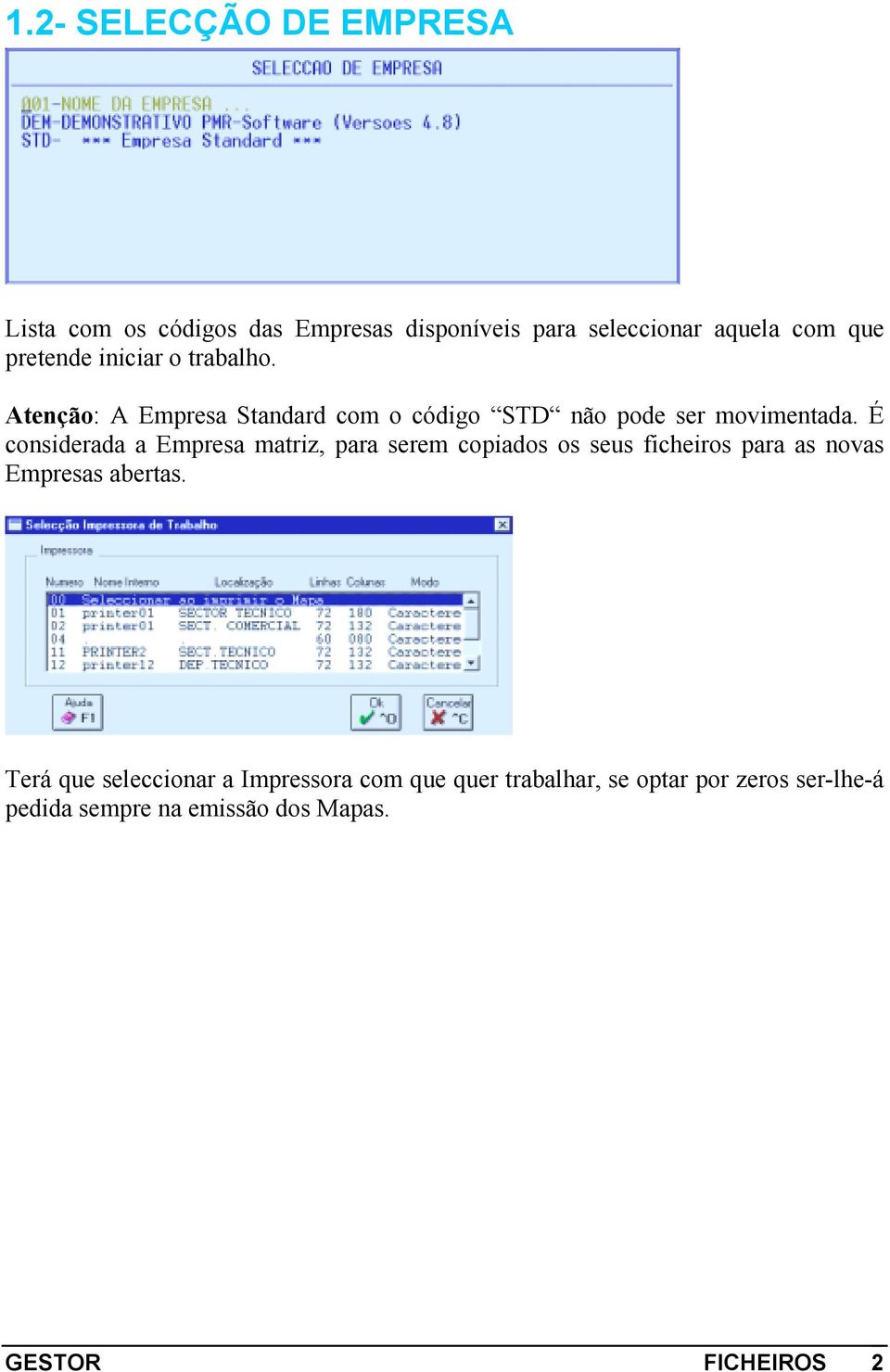 É considerada a Empresa matriz, para serem copiados os seus ficheiros para as novas Empresas abertas.