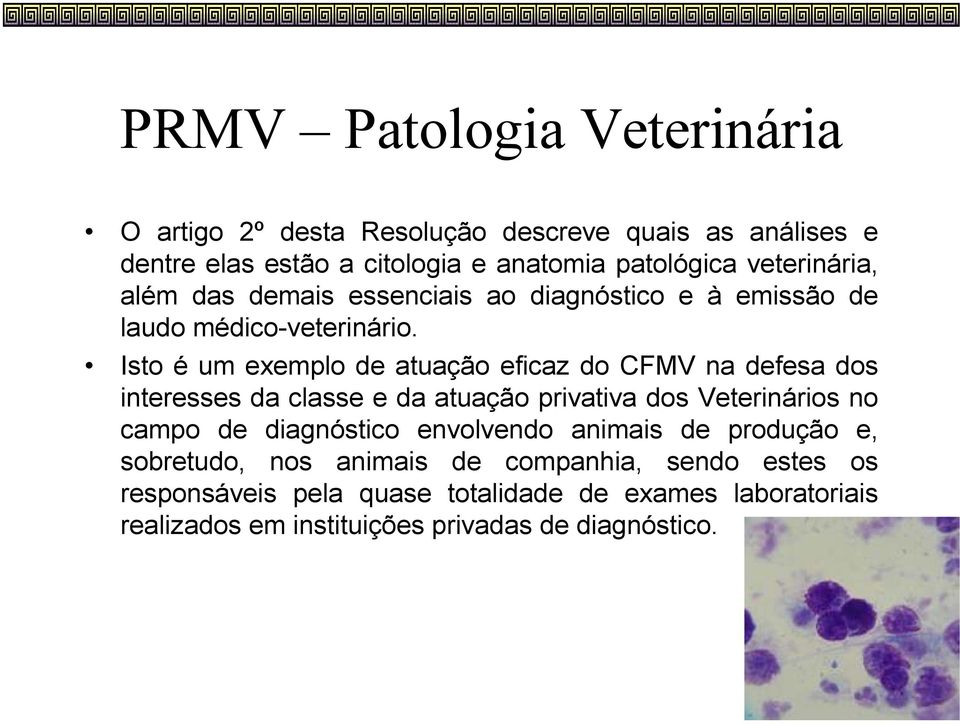 Isto é um exemplo de atuação eficaz do CFMV na defesa dos interesses da classe e da atuação privativa dos Veterinários no campo de