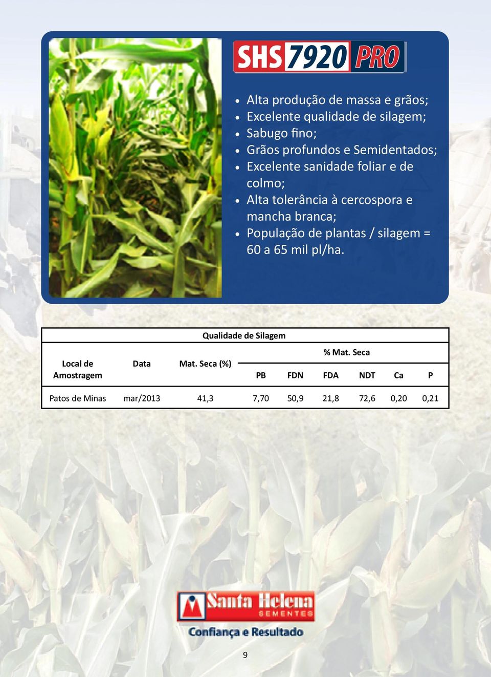 População de plantas / silagem = 60 a 65 mil pl/ha.