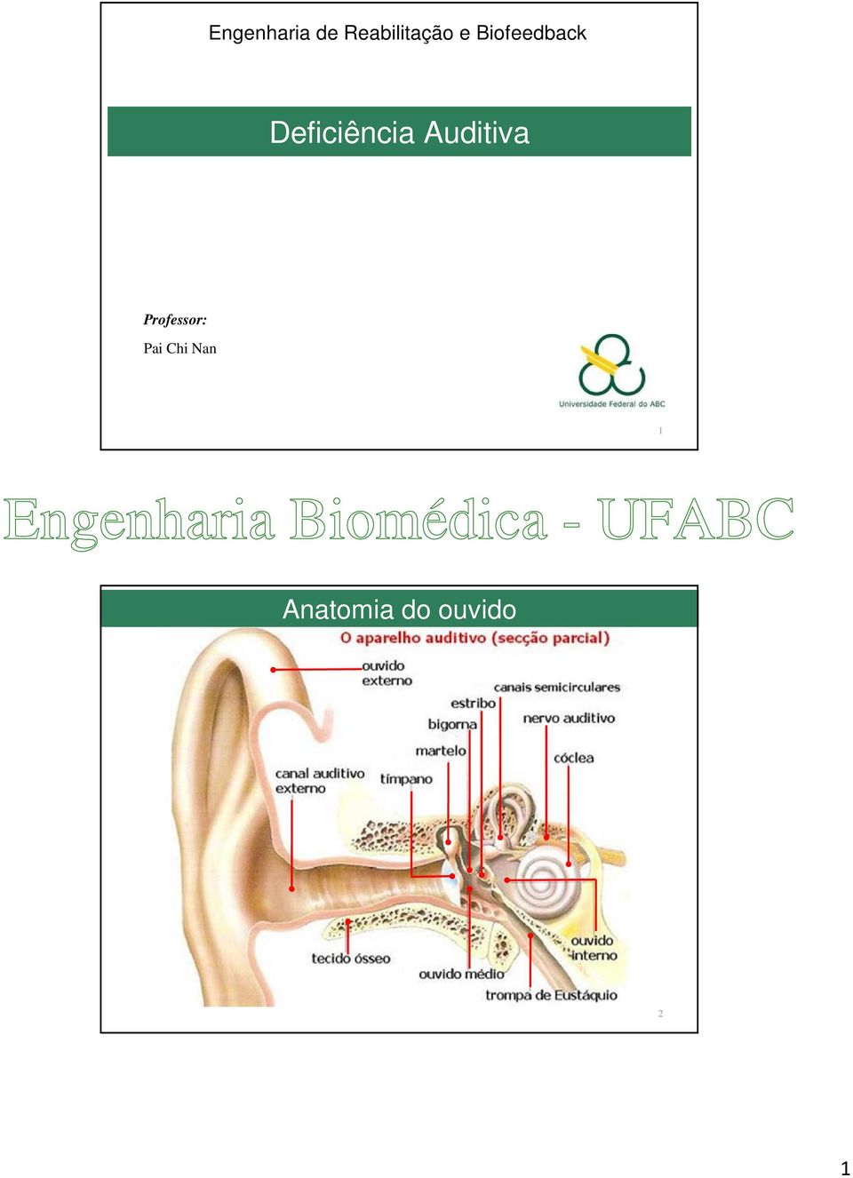 Biofeedback