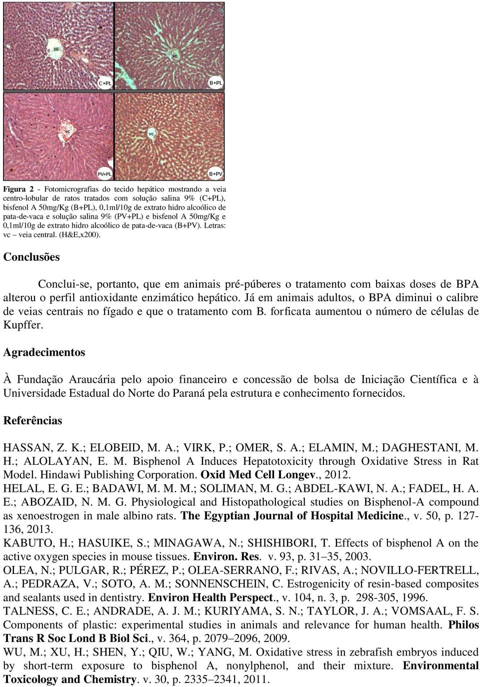 Conclusões Conclui-se, portanto, que em animais pré-púberes o tratamento com baixas doses de BPA alterou o perfil antioxidante enzimático hepático.