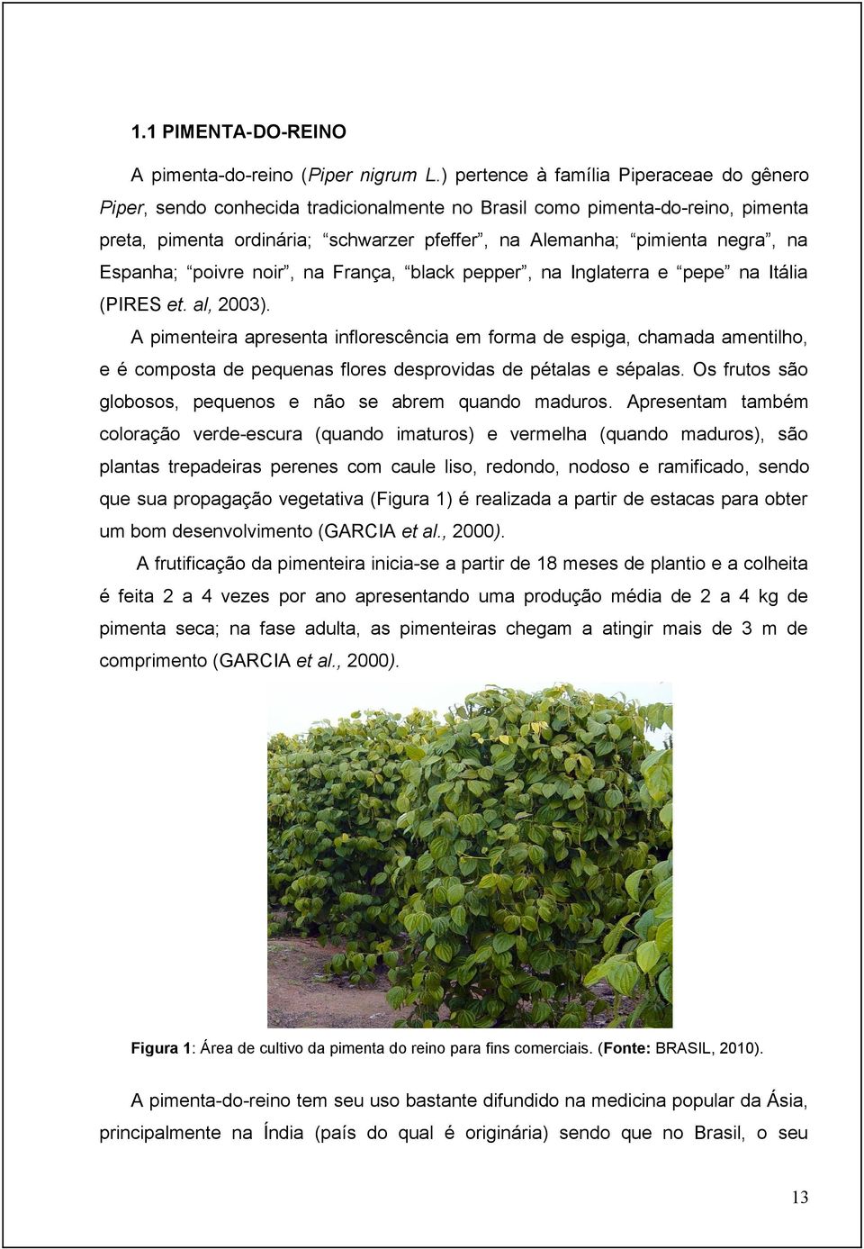 Espanha; poivre noir, na França, black pepper, na Inglaterra e pepe na Itália (PIRES et. al, 2003).