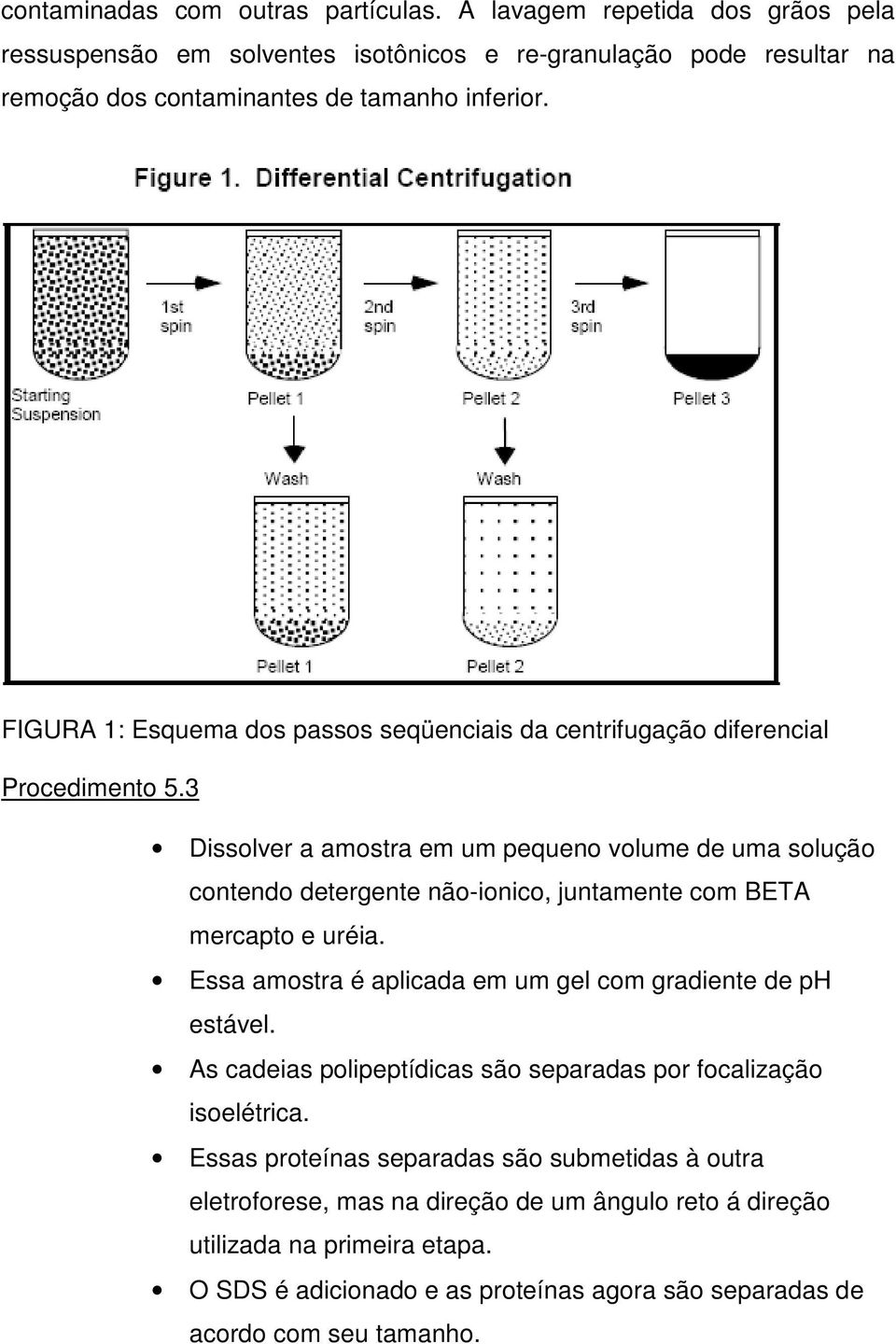 3 Dissolver a amostra em um pequeno volume de uma solução contendo detergente não-ionico, juntamente com BETA mercapto e uréia.