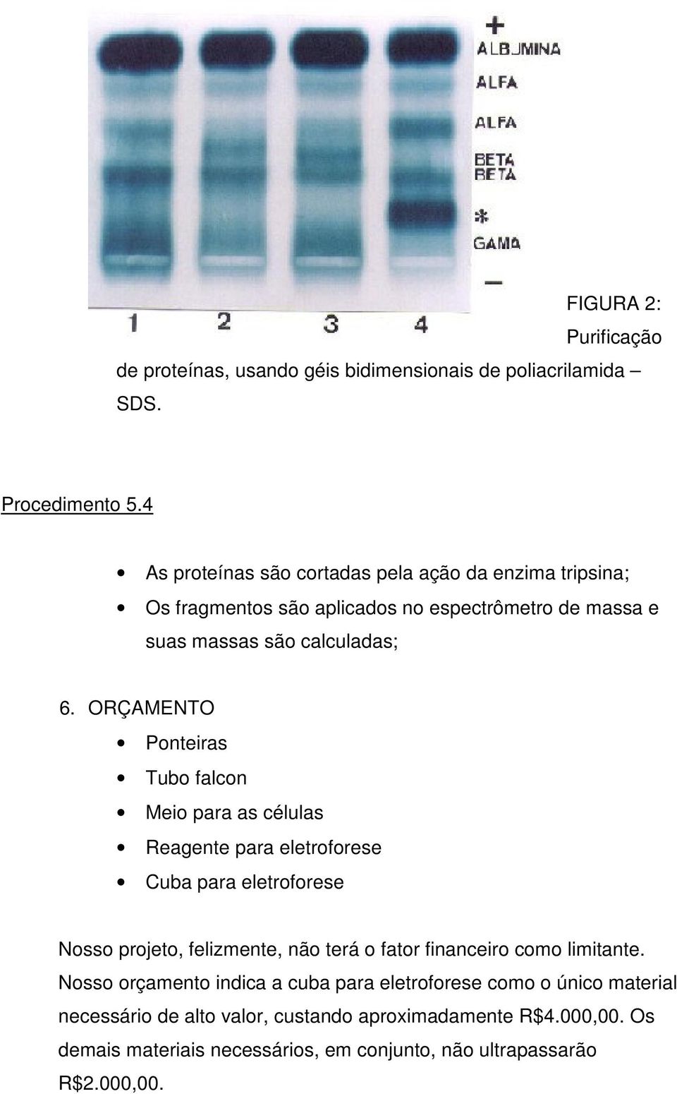 ORÇAMENTO Ponteiras Tubo falcon Meio para as células Reagente para eletroforese Cuba para eletroforese Nosso projeto, felizmente, não terá o fator