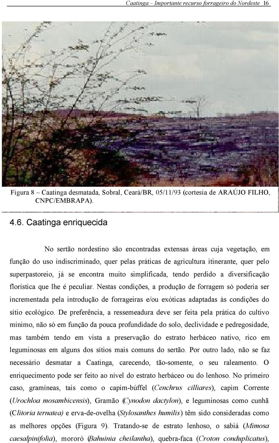Caatinga enriquecida No sertão nordestino são encontradas extensas áreas cuja vegetação, em função do uso indiscriminado, quer pelas práticas de agricultura itinerante, quer pelo superpastoreio, já