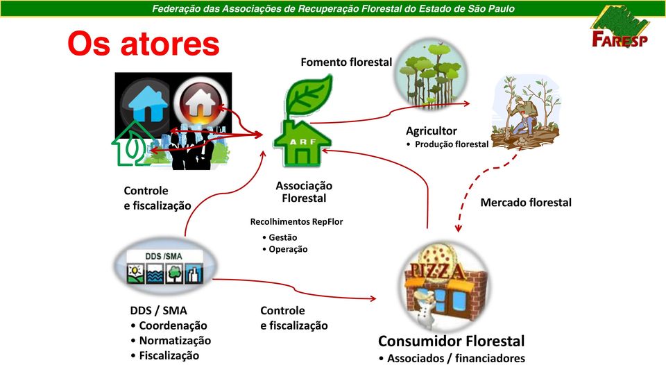 Operação Mercado florestal DDS / SMA Coordenação Normatização