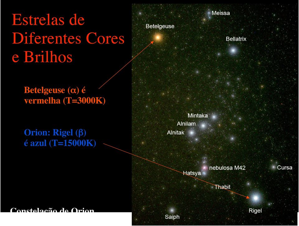 vermelha (T=3000K) Orion: Rigel