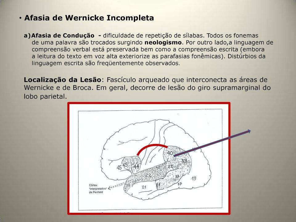 Por outro lado,a linguagem de compreensão verbal está preservada bem como a compreensão escrita (embora a leitura do texto em voz alta