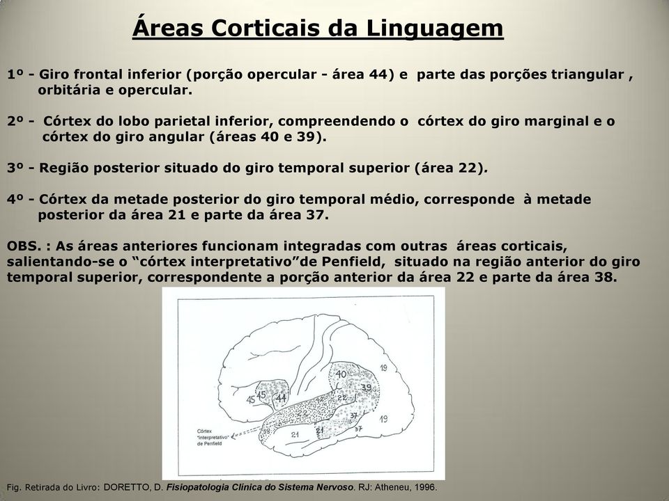 4º - Córtex da metade posterior do giro temporal médio, corresponde à metade posterior da área 21 e parte da área 37. OBS.