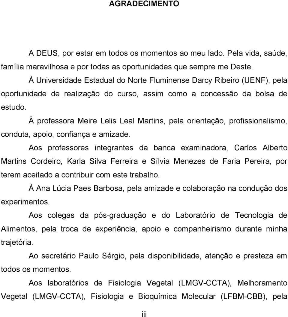 À professora Meire Lelis Leal Martins, pela orientação, profissionalismo, conduta, apoio, confiança e amizade.
