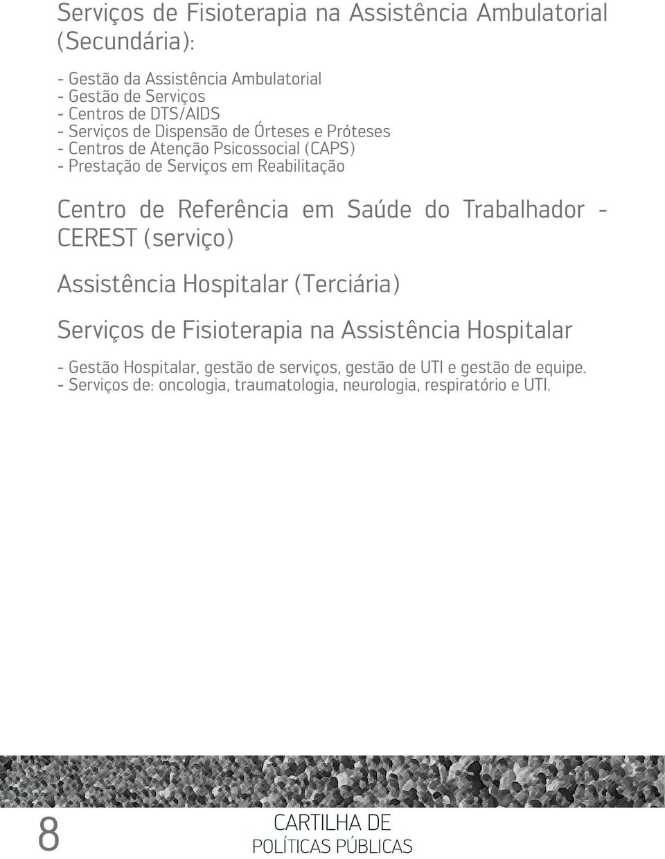 de Referência em Saúde do Trabalhador - CEREST (serviço) Assistência Hospitalar (Terciária) Serviços de Fisioterapia na Assistência Hospitalar