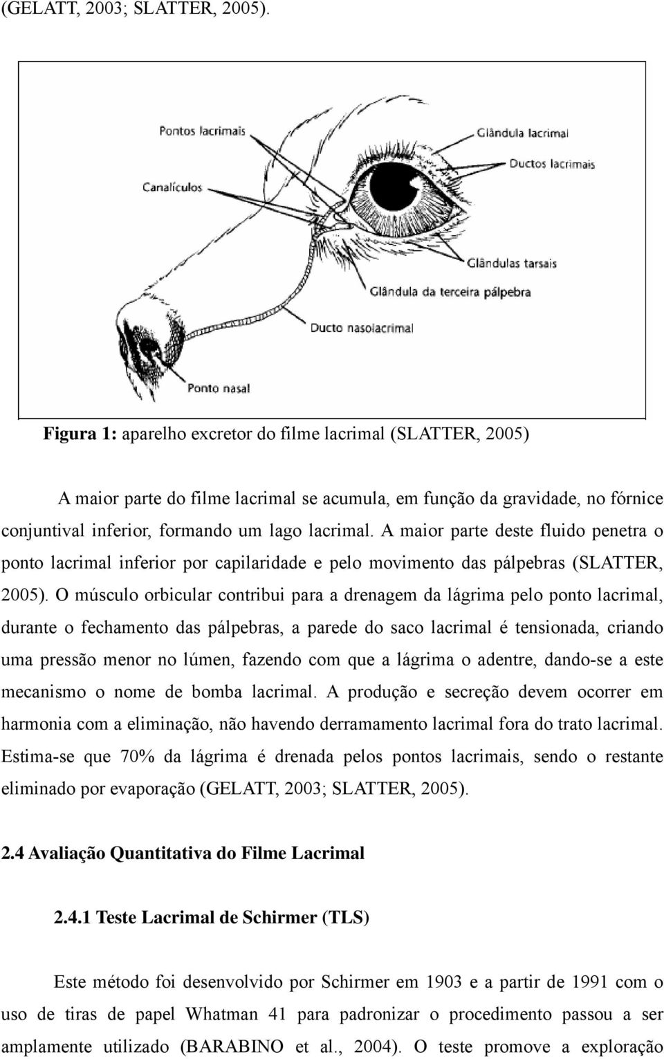 A maior parte deste fluido penetra o ponto lacrimal inferior por capilaridade e pelo movimento das pálpebras (SLATTER, 2005).