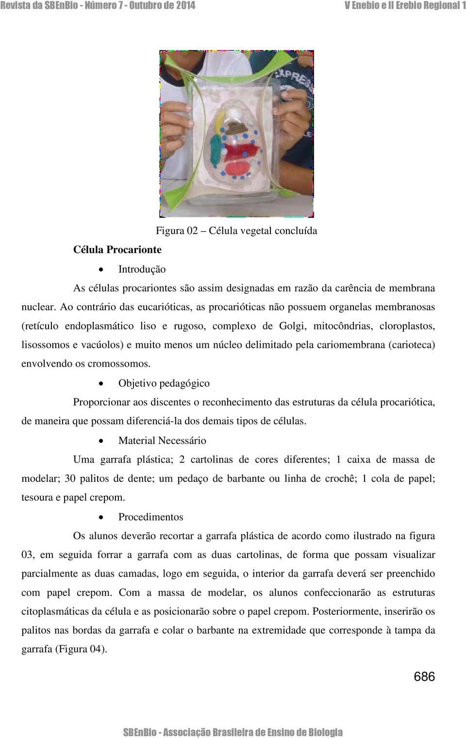 menos um núcleo delimitado pela cariomembrana (carioteca) envolvendo os cromossomos.