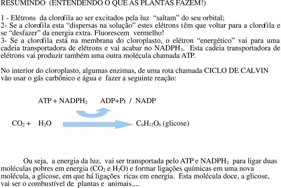 Fluorescem vermelho! 3- Se a clorofila está na membrana do cloroplasto, o elétron energético vai para uma cadeia transportadora de elétrons e vai acabar no NADPH 2.