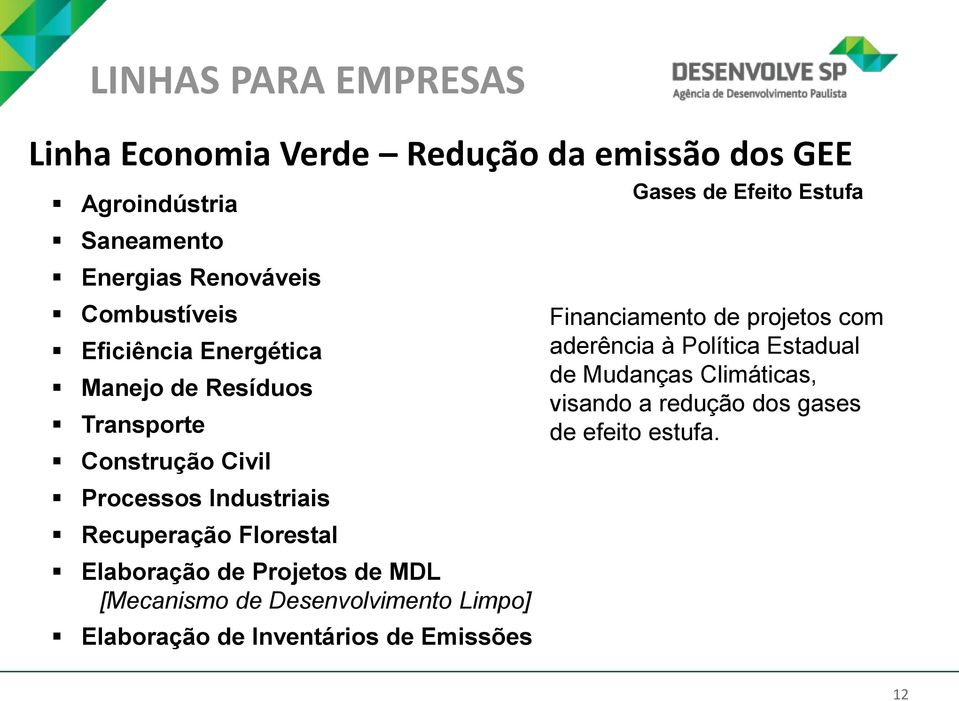 Florestal Elaboração de Projetos de MDL [Mecanismo de Desenvolvimento Limpo] Elaboração de Inventários de Emissões Gases de