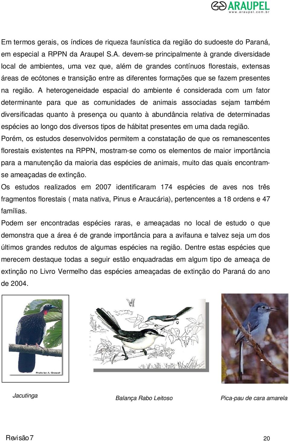 devem-se principalmente à grande diversidade local de ambientes, uma vez que, além de grandes contínuos florestais, extensas áreas de ecótones e transição entre as diferentes formações que se fazem