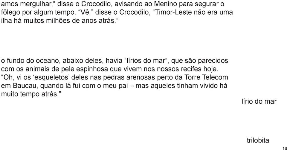 o fundo do oceano, abaixo deles, havia lírios do mar, que são parecidos com os animais de pele espinhosa que vivem nos