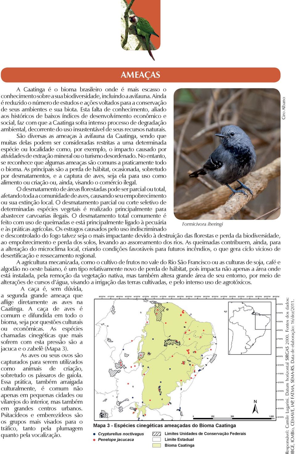 Esta falta de conhecimento, aliado aos históricos de baixos índices de desenvolvimento econômico e social, faz com que a Caatinga sofra intenso processo de degradação ambiental, decorrente do uso