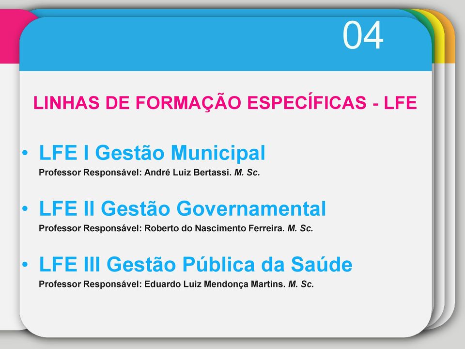 LFE II Gestão Governamental Professor Responsável: Roberto do Nascimento