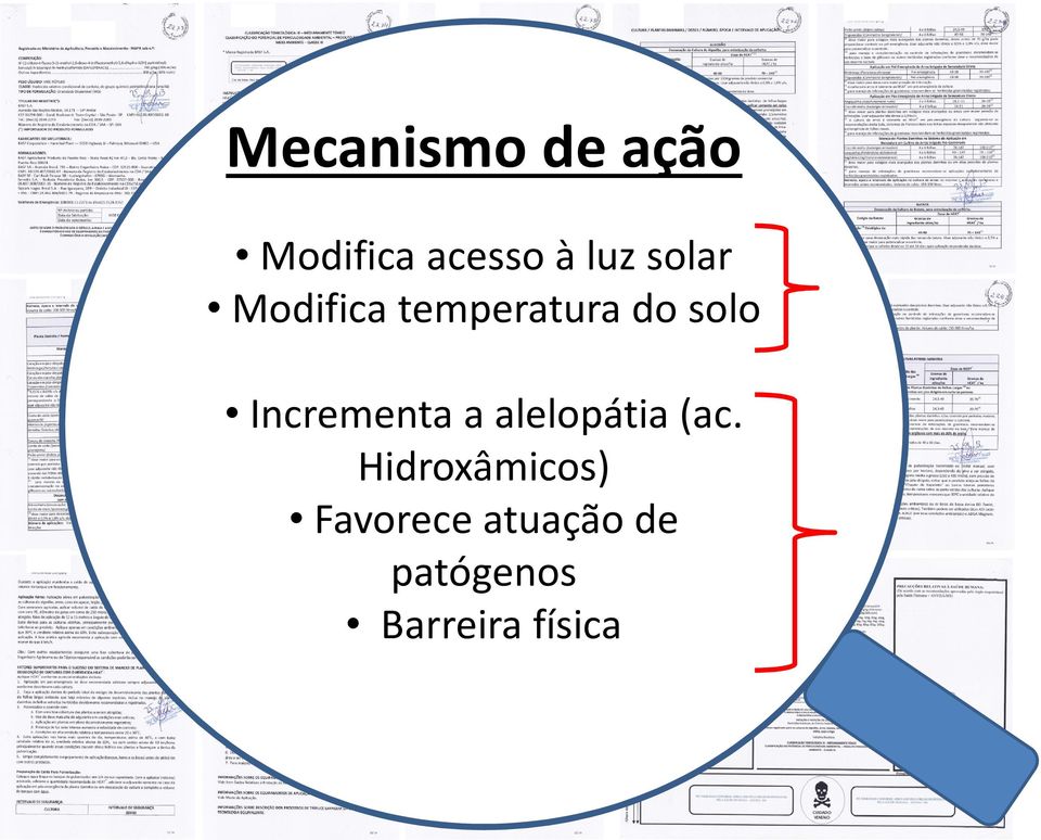 Incrementa a alelopátia (ac.