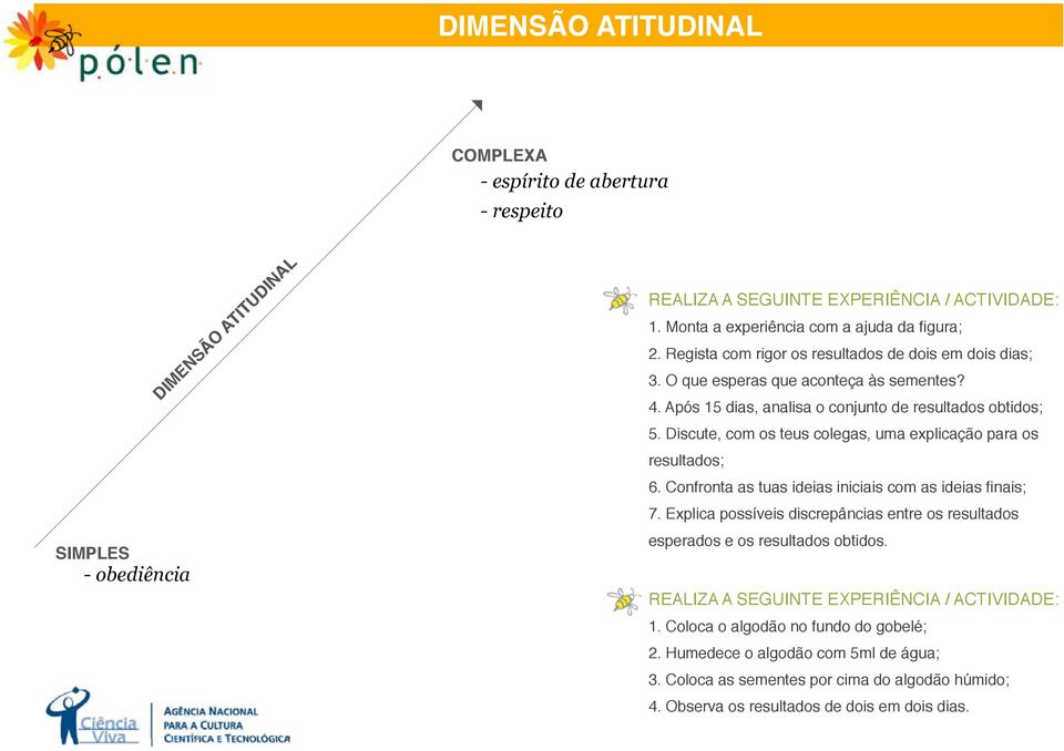 Discute, com os teus colegas, uma explicação para os resultados; 6. Confronta as tuas ideias iniciais com as ideias finais; 7.