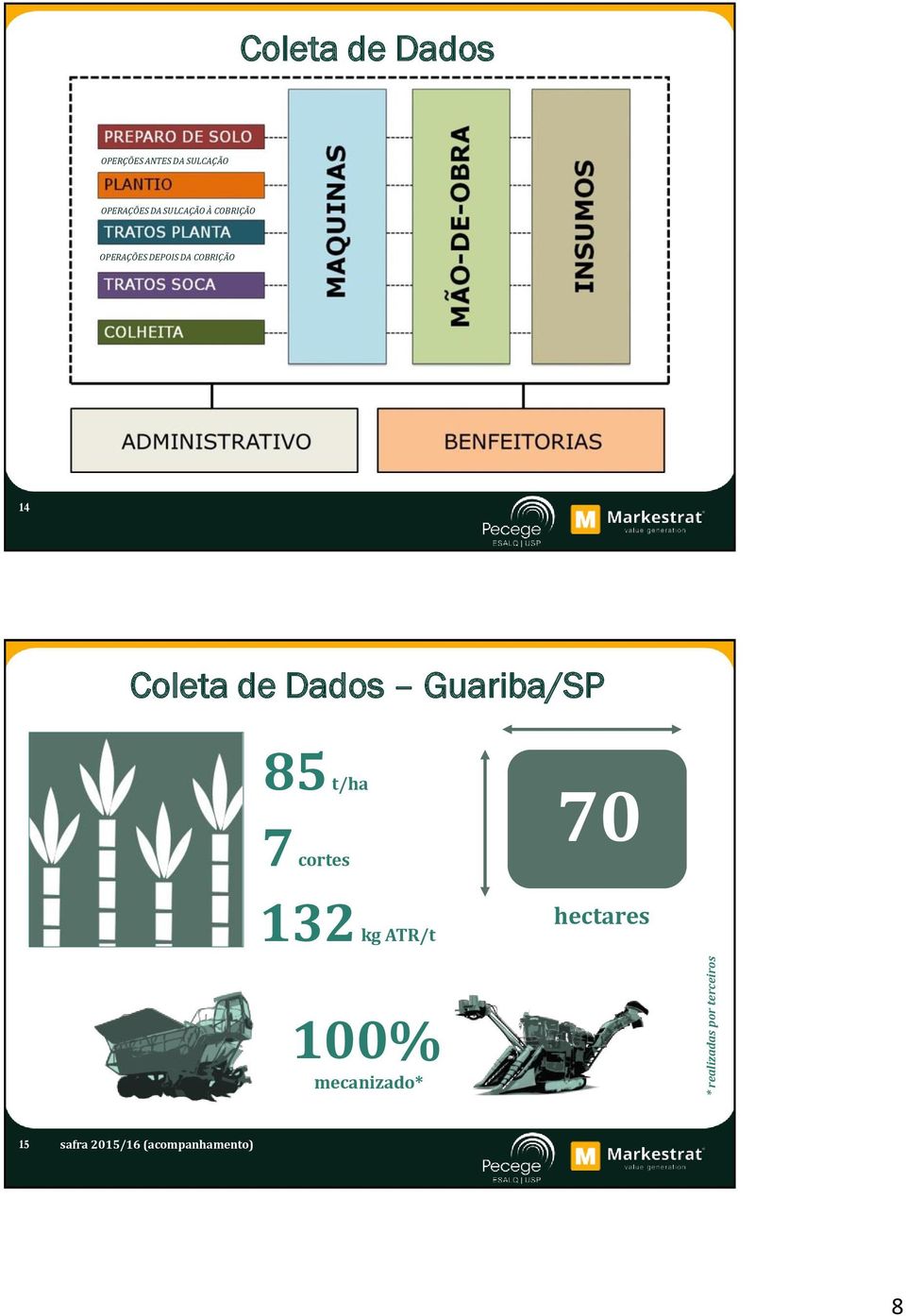 DEPOIS DA COBRIÇÃO 1 Coleta de Dados /SP 8 t/ha 7 cortes 12