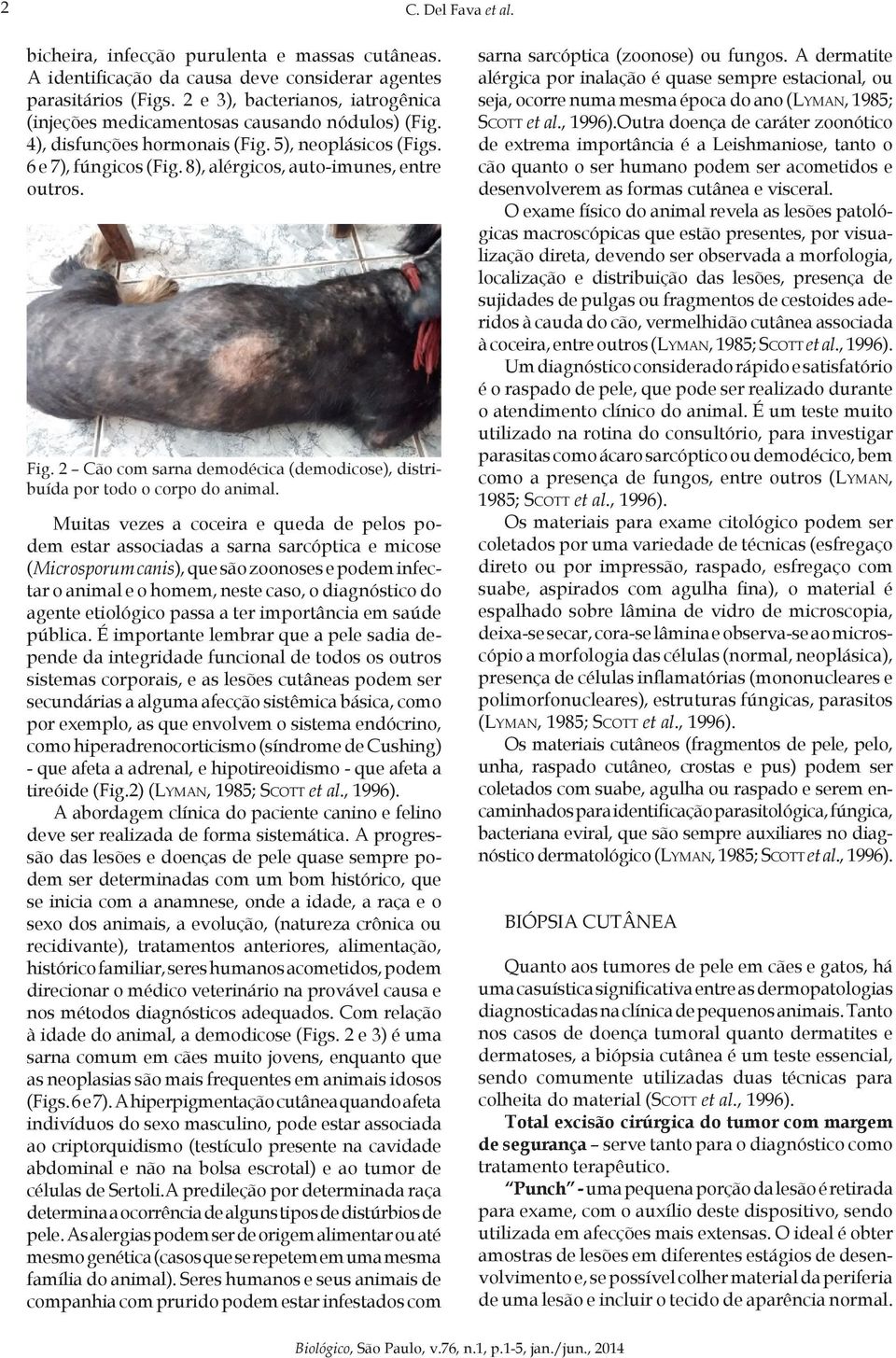 Fig. 2 Cão com sarna demodécica (demodicose), distribuída por todo o corpo do animal.