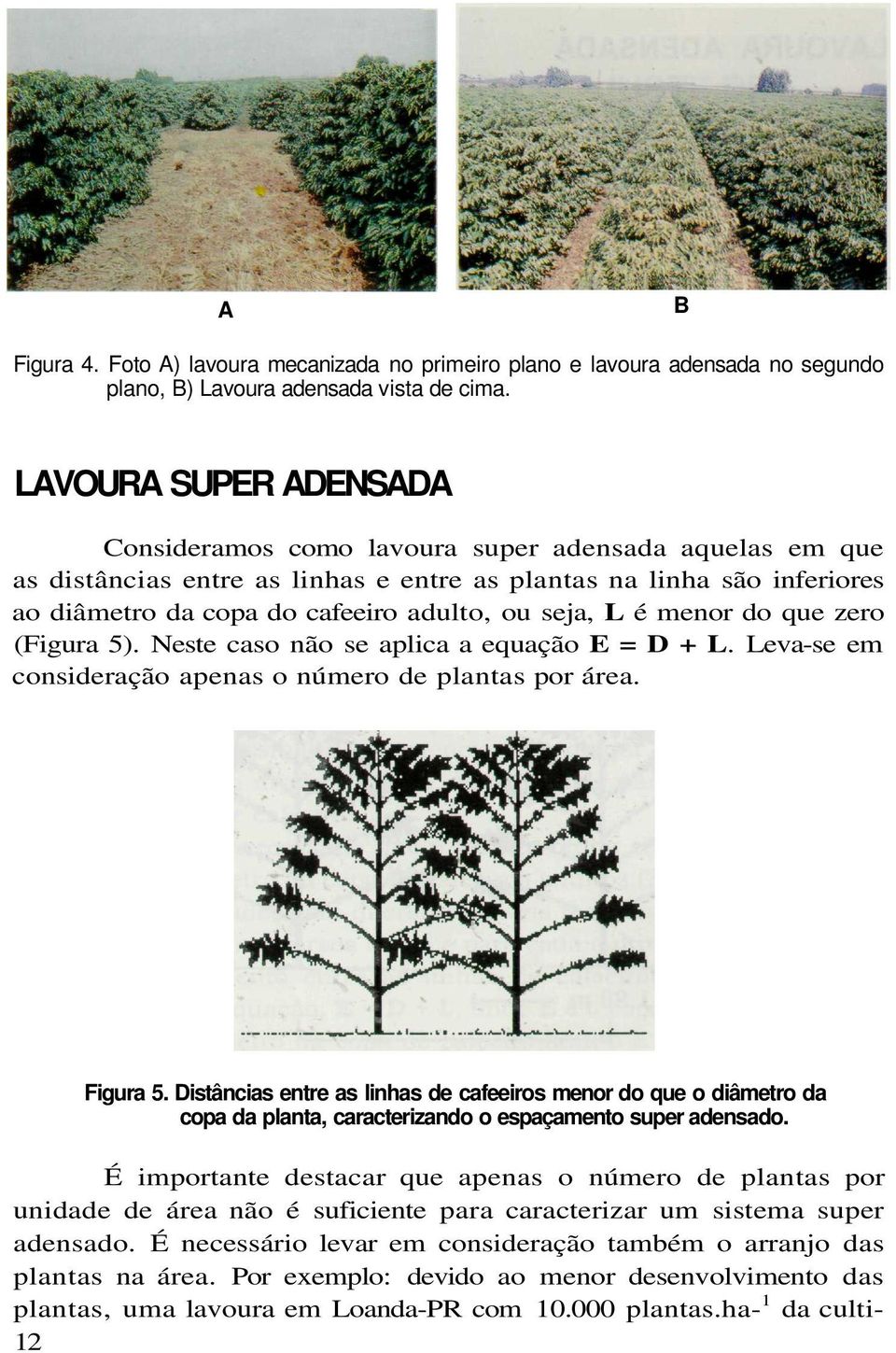 seja, L é menor do que zero (Figura 5). Neste caso não se aplica a equação E = D + L. Leva-se em consideração apenas o número de plantas por área. Figura 5.