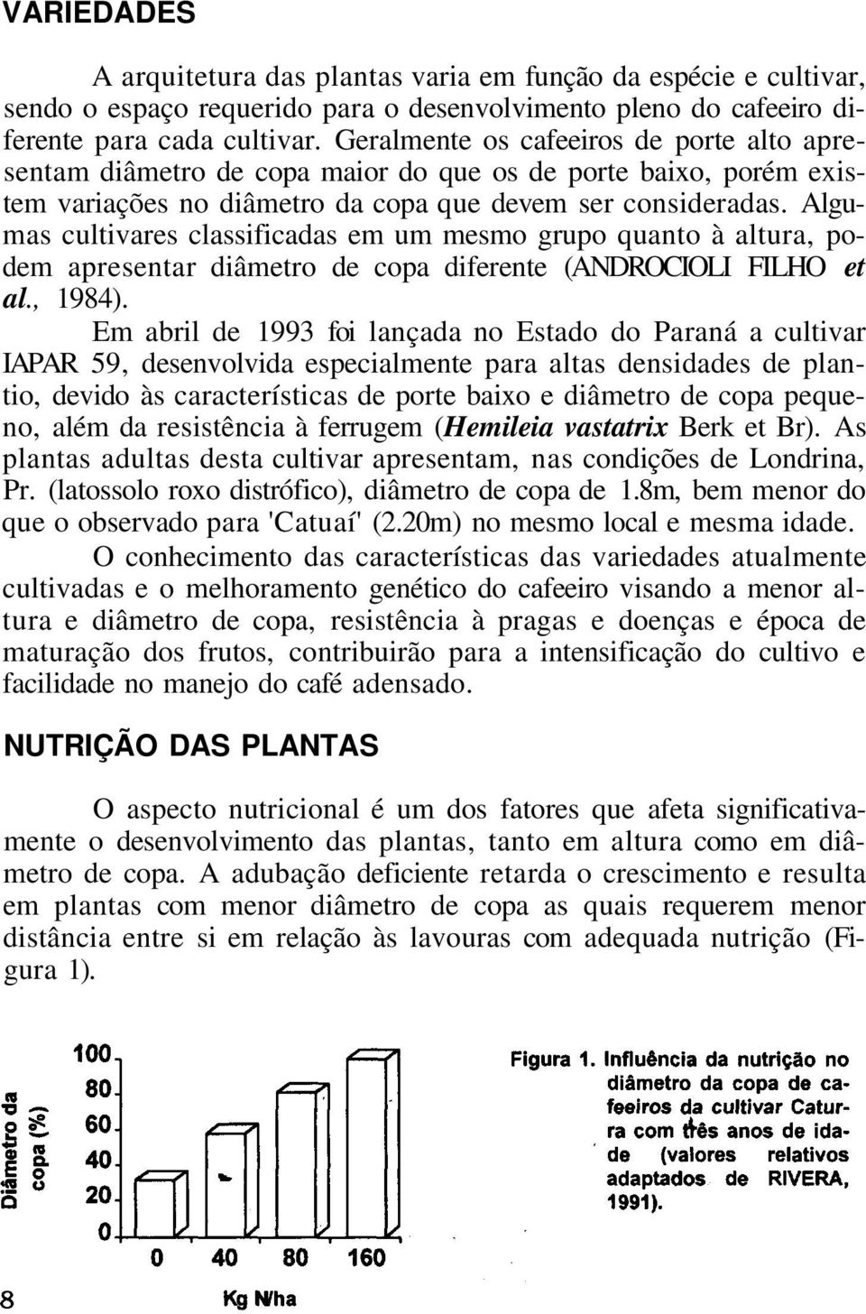 Algumas cultivares classificadas em um mesmo grupo quanto à altura, podem apresentar diâmetro de copa diferente (ANDROCIOLI FILHO et al., 1984).