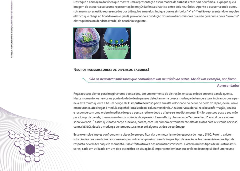 Indique que os símbolos + e - estão representando o impulso elétrico que chega ao final do axônio (azul), provocando a produção dos neurotransmissores que vão gerar uma nova corrente eletroquímica no