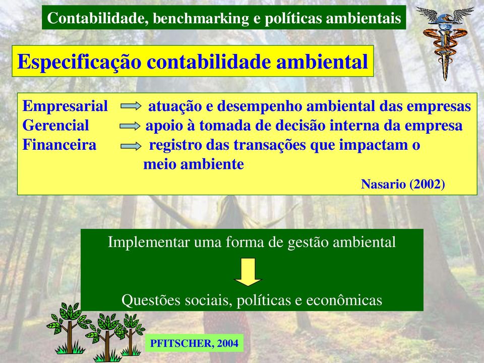 registro das transações que impactam o meio ambiente Nasario (2002) Implementar