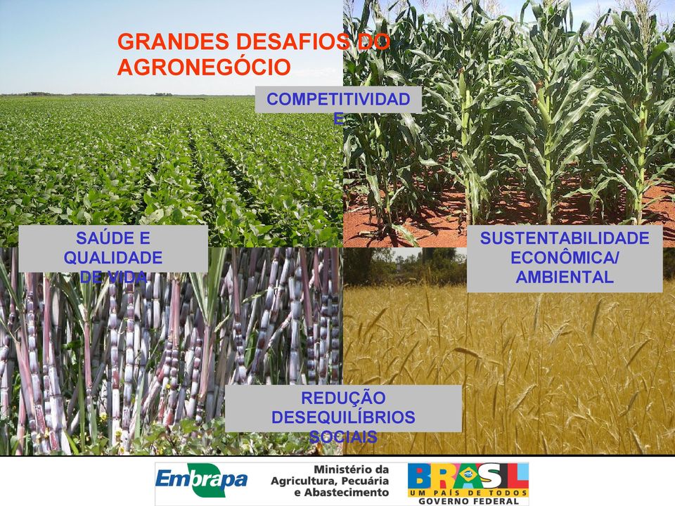 DE VIDA SUSTENTABILIDADE ECONÔMICA/