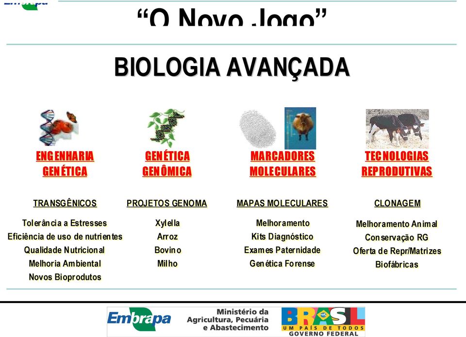 Melhoramento Kits Kits D Diagnóstico iagnóstico Melhoramento Melhoramento Animal Animal Conservação Conservação RG RG Qualidade Qualidade N Nutricional utricional Melhoria Melhoria Ambiental