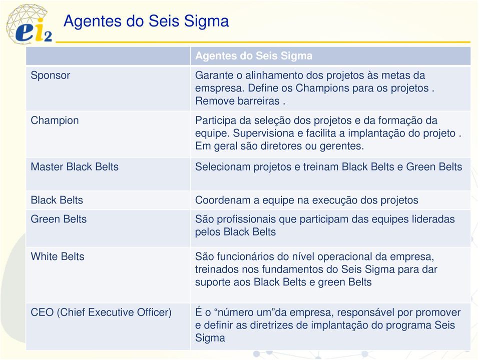 Selecionam projetos e treinam Black Belts e Green Belts Black Belts Green Belts White Belts CEO (Chief Executive Officer) Coordenam a equipe na execução dos projetos São profissionais que participam