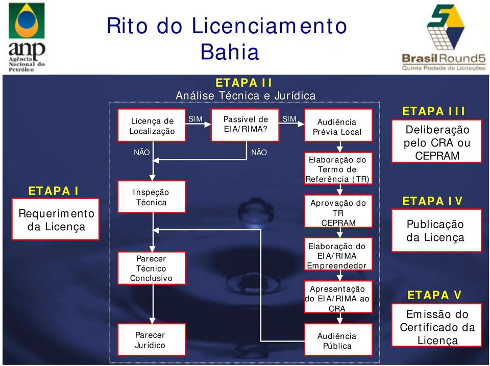 NÃO SIM Audiência Prévia Local Elaboração do Termo de Referência (TR) Aprovação do TR CEPRAM Elaboração do EIA/RIMA