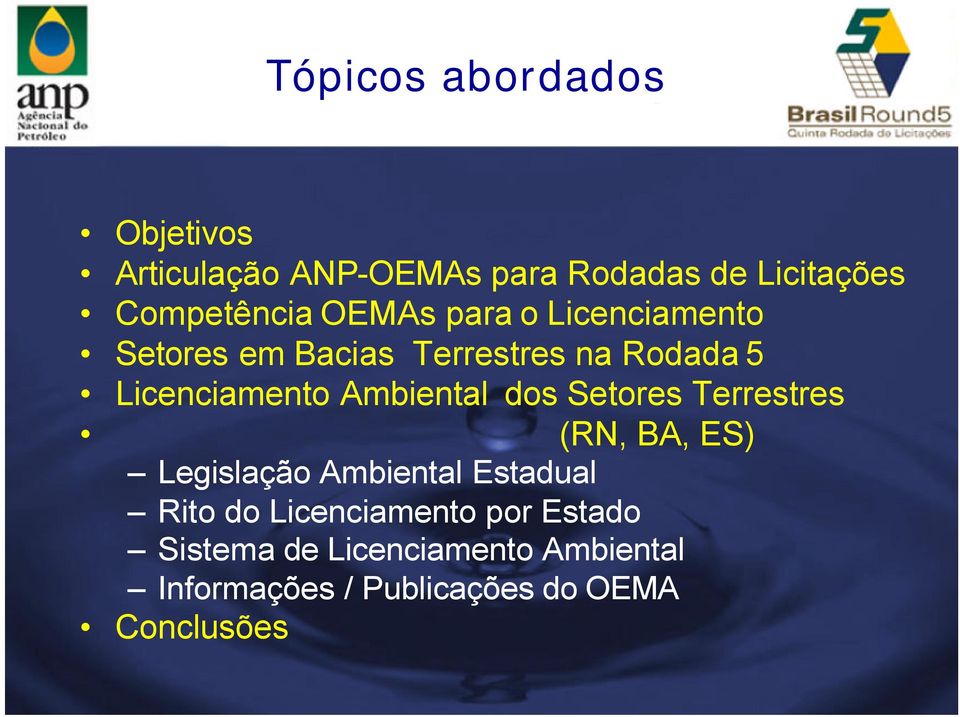 Ambiental dos Setores Terrestres (RN, BA, ES) Legislação Ambiental Estadual Rito do