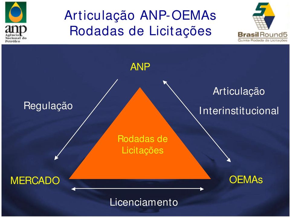 Articulação Interinstitucional