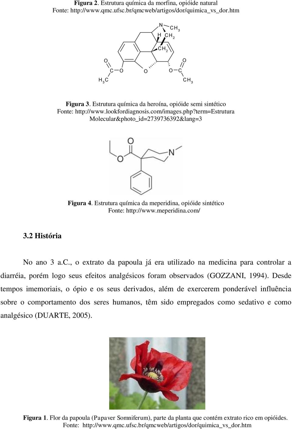 Estrutura química da meperidina, opióide sintético Fonte: http://www.meperidina.com/ 3.2 História No ano 3 a.c., o extrato da papoula já era utilizado na medicina para controlar a diarréia, porém logo seus efeitos analgésicos foram observados (GOZZANI, 1994).