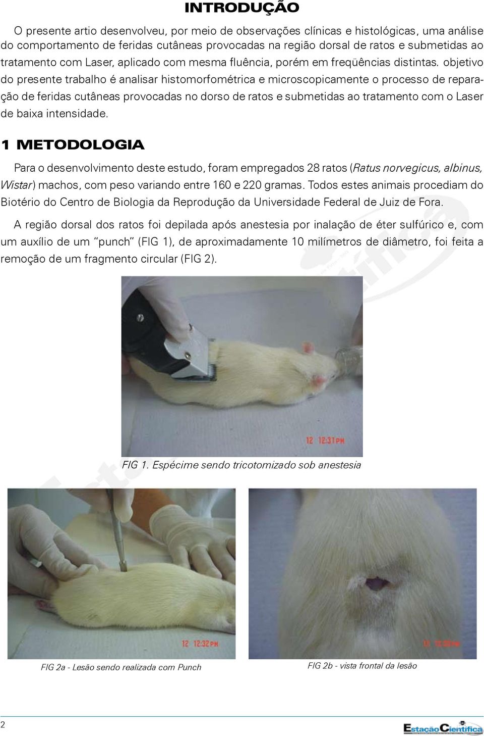 objetivo do presente trabalho é analisar histomorfométrica e microscopicamente o processo de reparação de feridas cutâneas provocadas no dorso de ratos e submetidas ao tratamento com o Laser de baixa