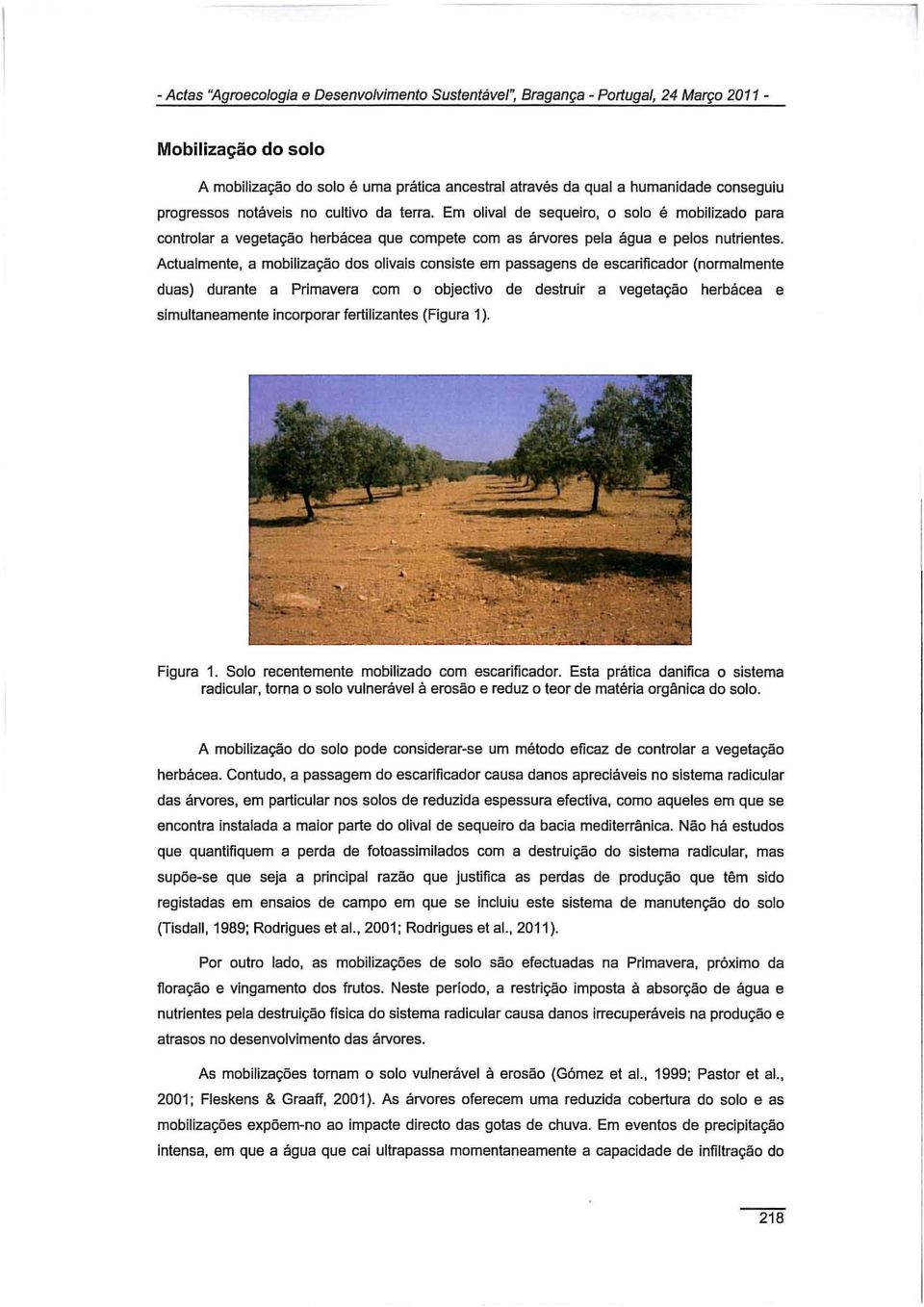 Actualmente, a mobilização dos olivais consiste em passagens de escarificador (normalmente duas) durante a Primavera com o objectivo de destruir a vegetação herbácea e simultaneamente incorporar