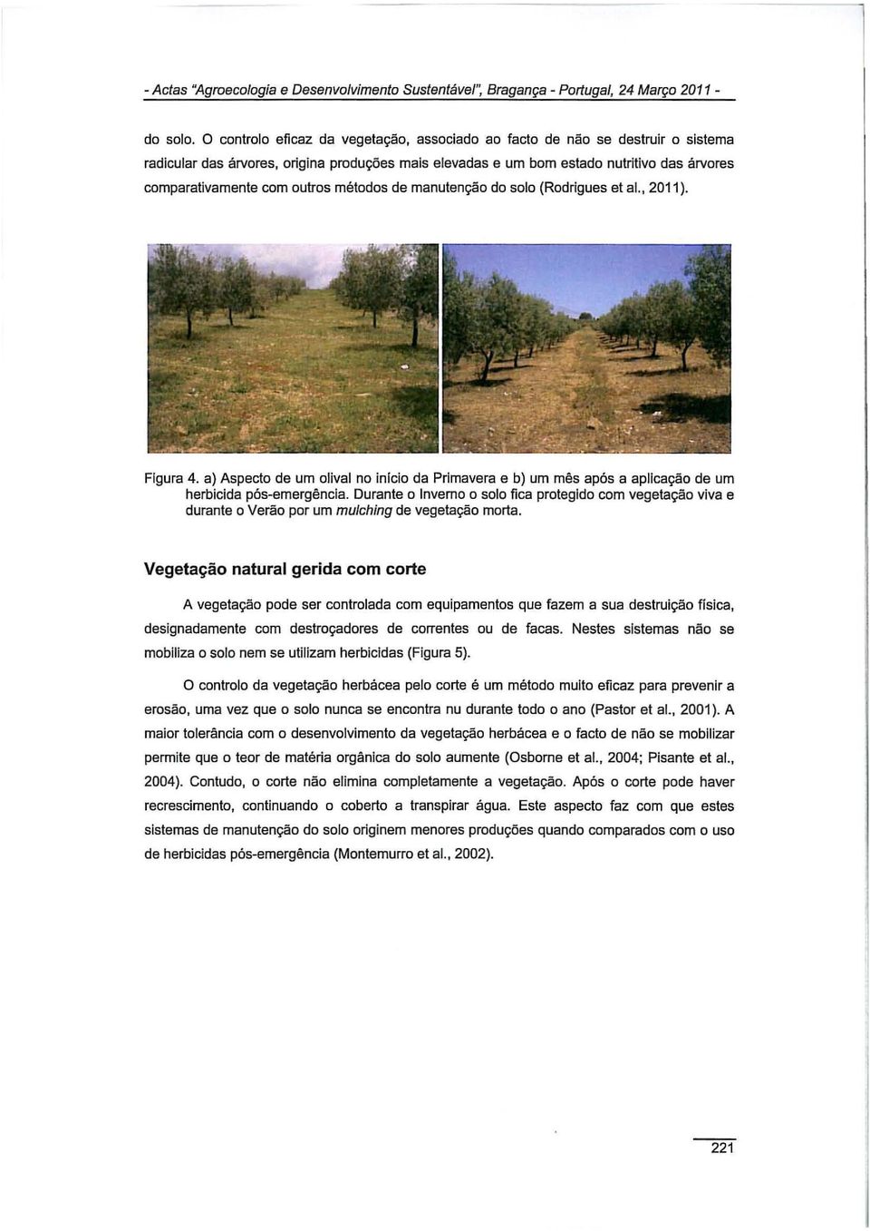 outros métodos de manutenção do solo (Rodrigues et ai., 2011). Figura 4. a) Aspecto de um olival no inicio da Primavera e b) um mês após a aplicação de um herbicida pós-emergência.