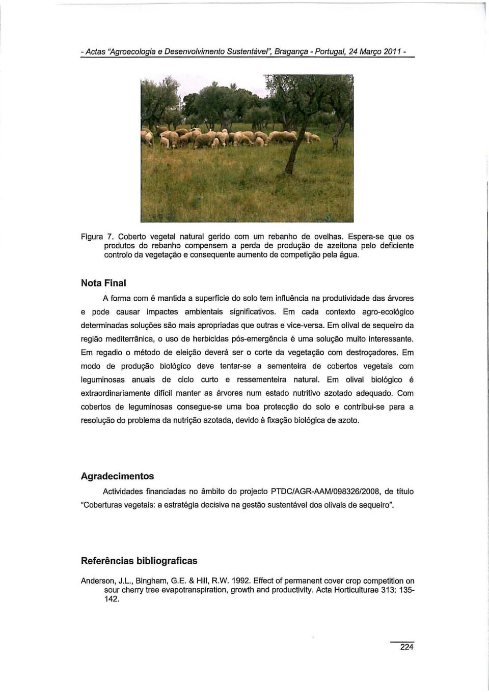 Nota Final A forma com é mantida a superfície do solo tem infiuência na produtividade das árvores e pode causar impactes ambientais significativos.